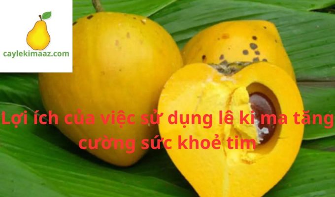 Lợi ích của việc sử dụng lê ki ma tăng cường sức khoẻ tim