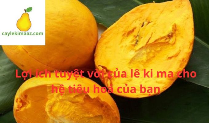 Lợi ích tuyệt vời của lê ki ma cho hệ tiêu hoá của bạn