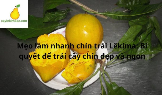 Mẹo làm nhanh chín trái Lêkima: Bí quyết để trái cây chín đẹp và ngon